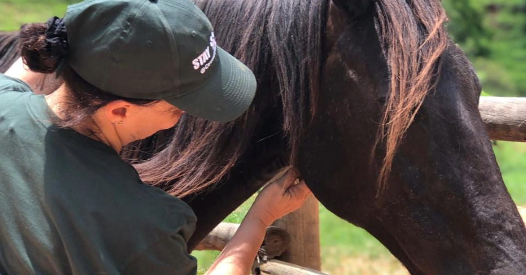 Desenvolvimento Pessoal