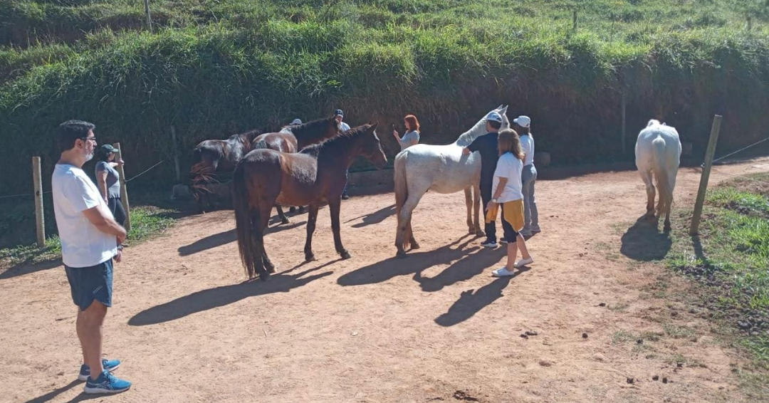 Vivências e Workshops