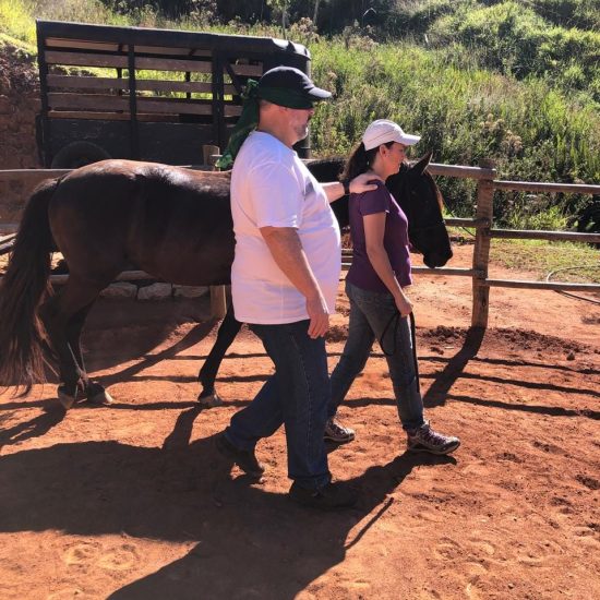 Vivência A Linguagem do amor com os cavalos 1 - Sobre