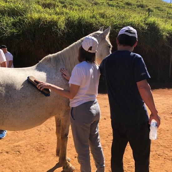 Vivência A Linguagem do amor com os cavalos - Sobre