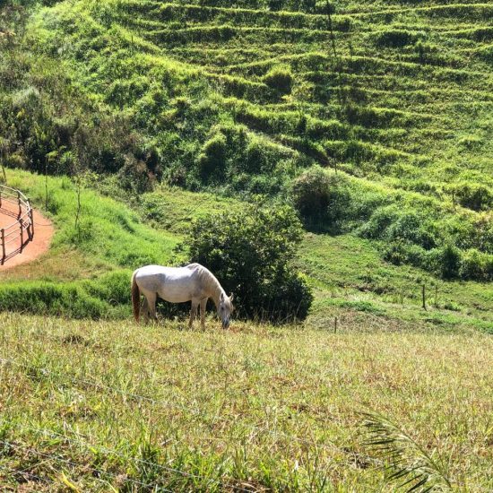 WhatsApp Image 2024-07-16 at 16.16.14